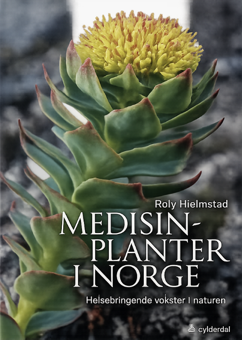 Medisinplanter i Norge