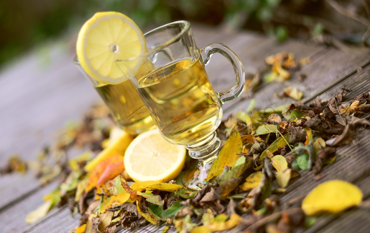 Opptak av webinar: naturens støtte for immunforsvaret vinterstid