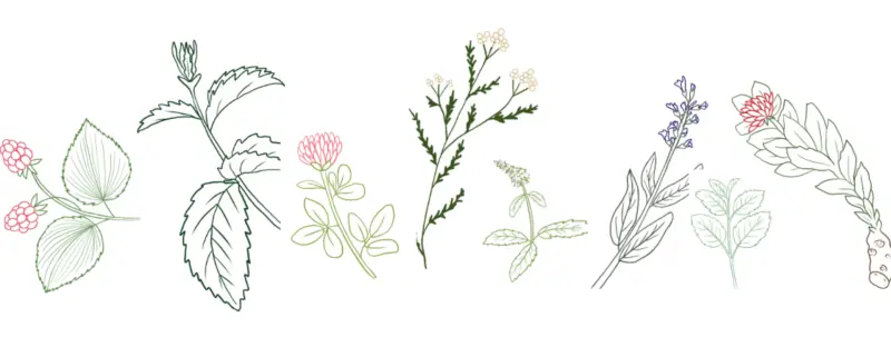 Urtekurs 19. mai: 17:00–21:00